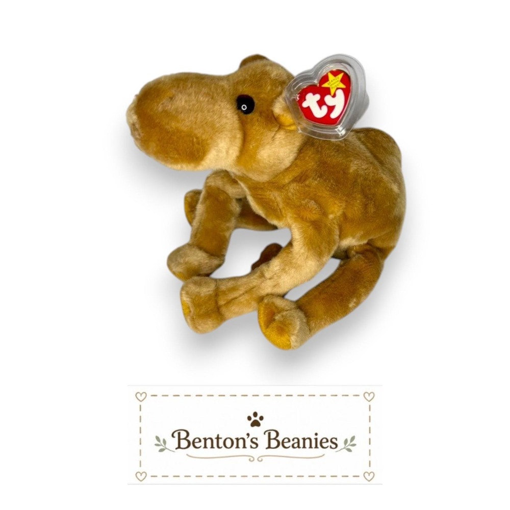 Humphrey the Camel Ty Beanie Buddy | Desert Trail Friend 🐪 | Mint Heart Tag ⭐
